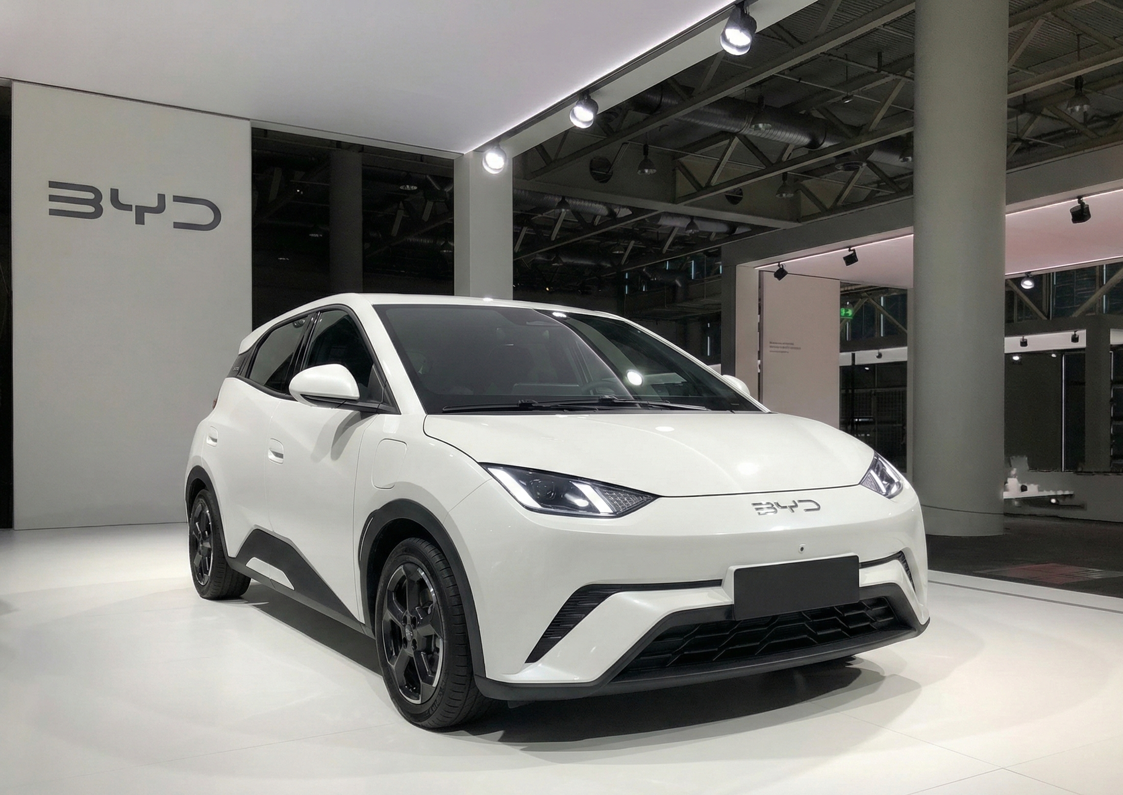 Cebu Loop BYD Seagull Fleet